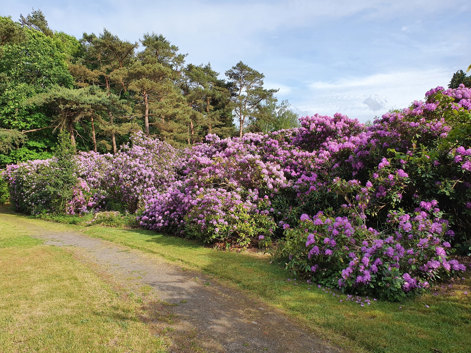 Uniek domein "Haezenveld" - foto 5