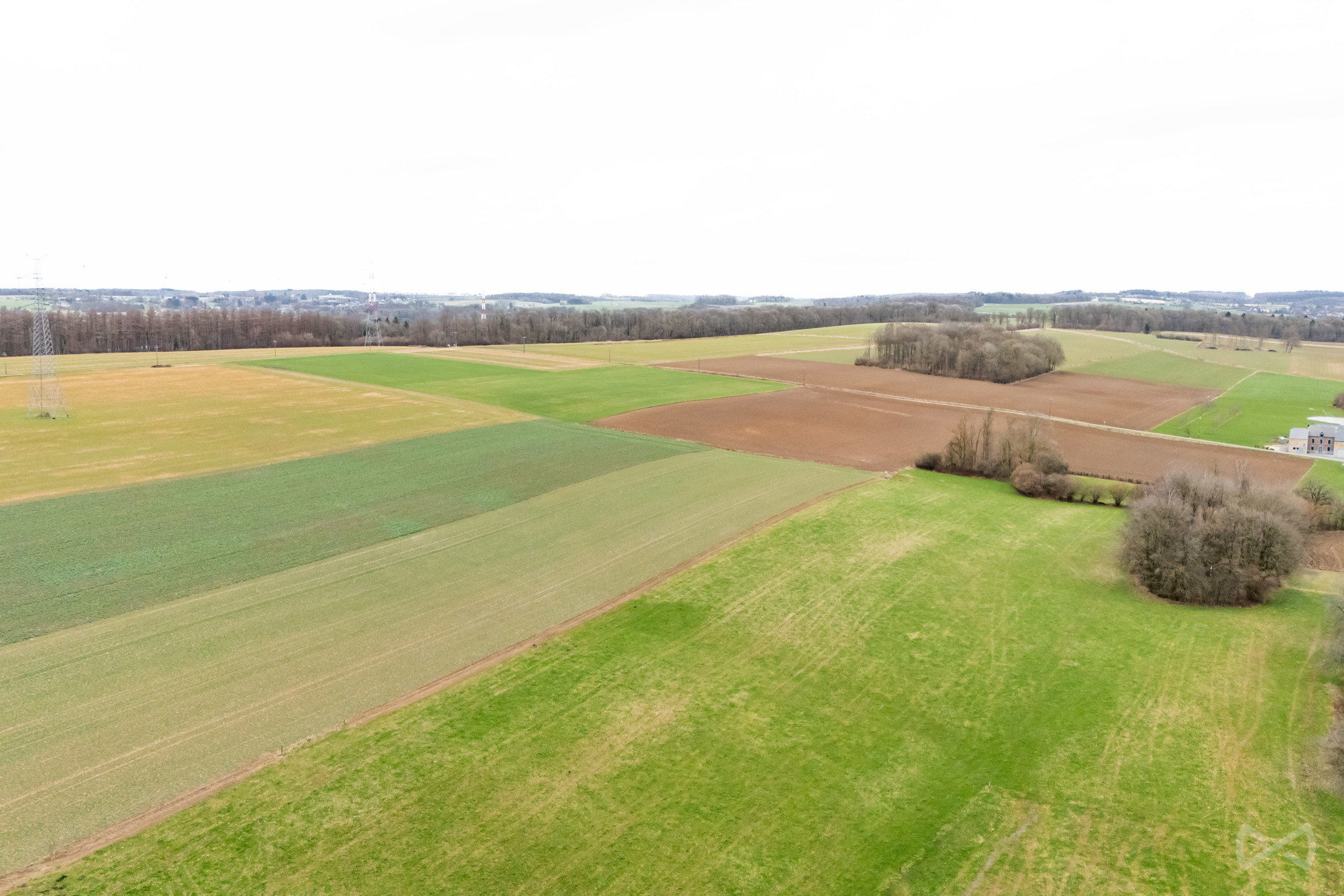 Terrain à vendre à Emptinne - photo 3