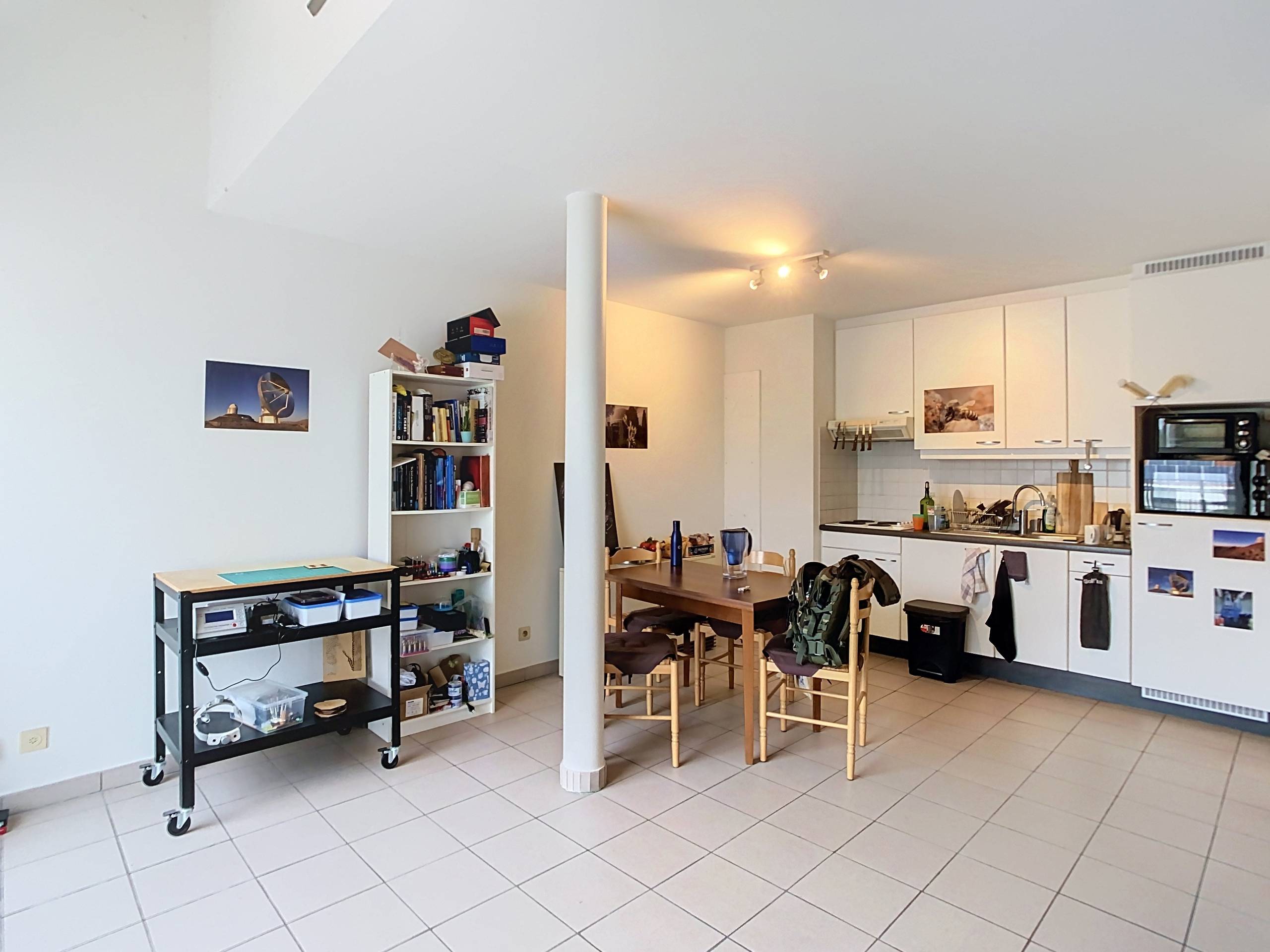 Move-in ready apartment with 1 bedroom and terrace - photo 4
