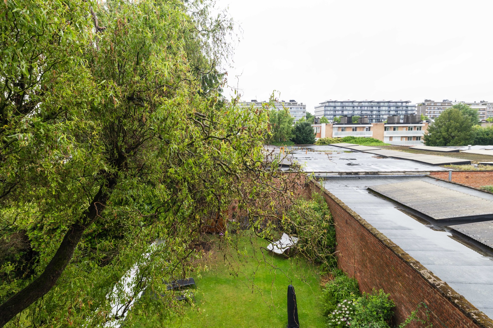 Appartement te koop in Berchem met 3 slaapkamers - foto 5