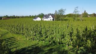 House for sale in Hasselt