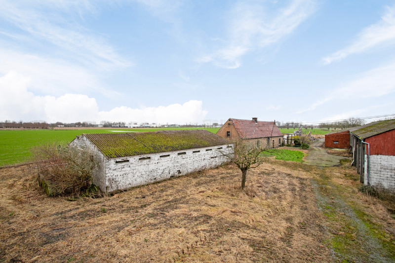 Domein te Landegem – Te renoveren hoeve op 1 hectare mét bouwmogelijkheden. - foto 5