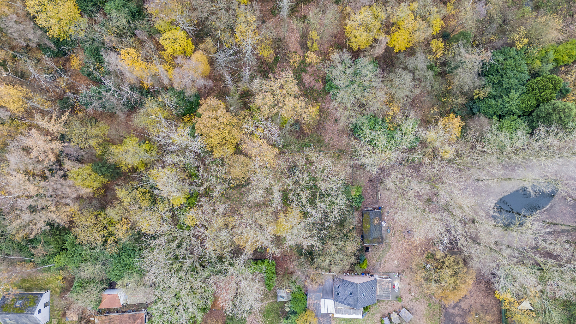 Te koop: bouwgrond in Stekene - foto 5