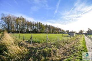 Maison à vendre à Lievegem