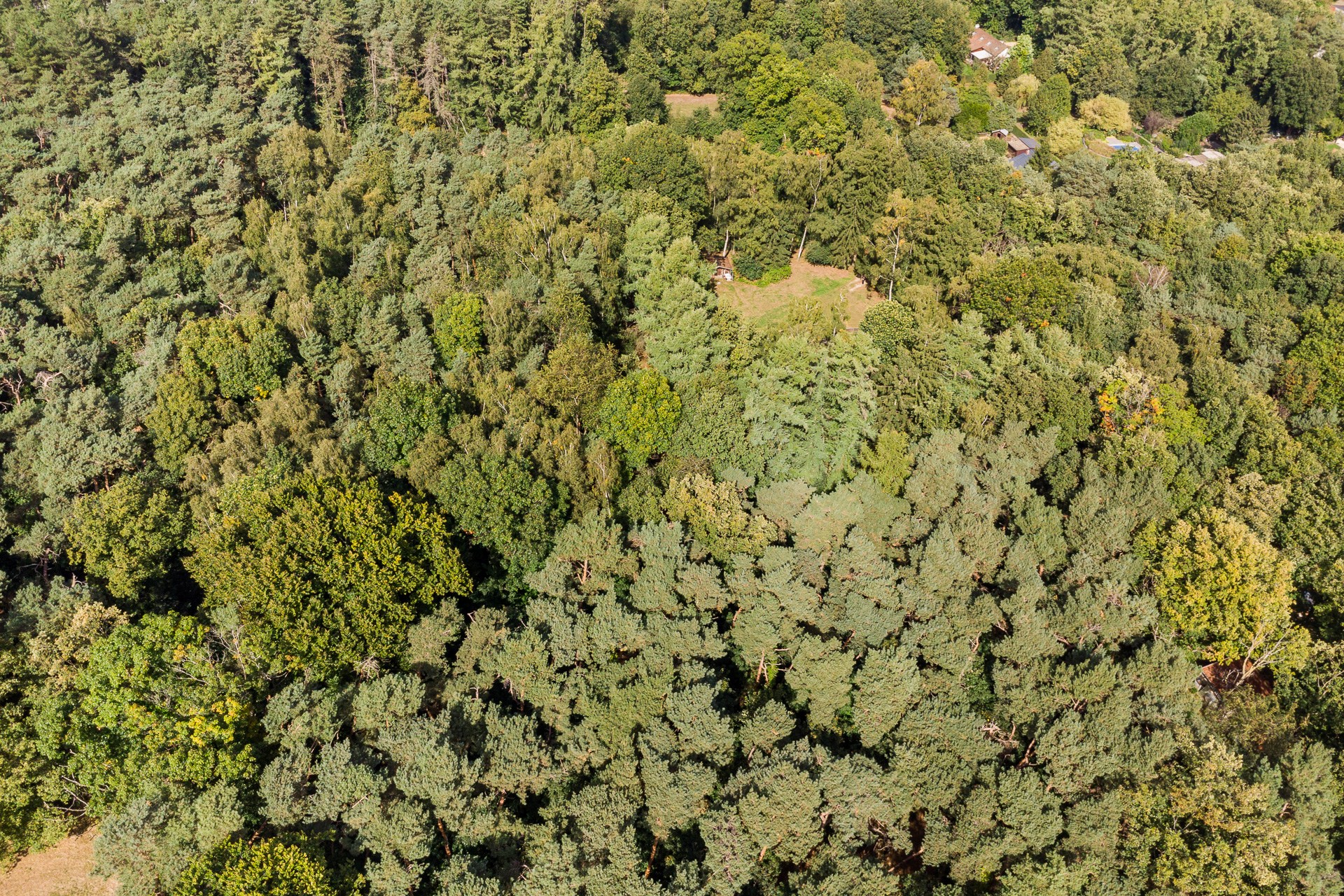 Exclusief gelegen bouwgrond voor een te bouwen woning van 1000m3 op een terrein van 11376m² te Lummen. - foto 5