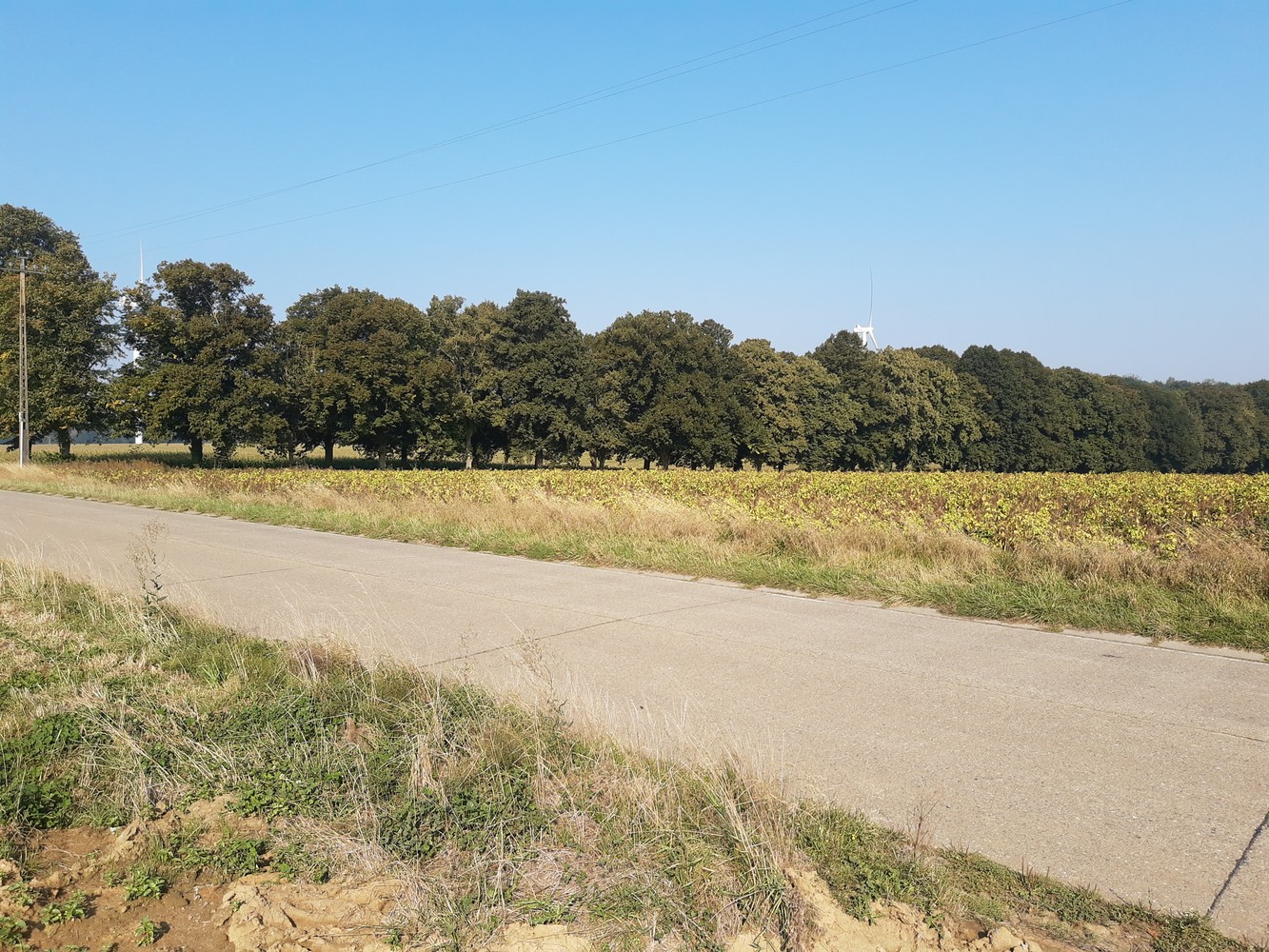 Land for sale in Fernelmont - photo 1