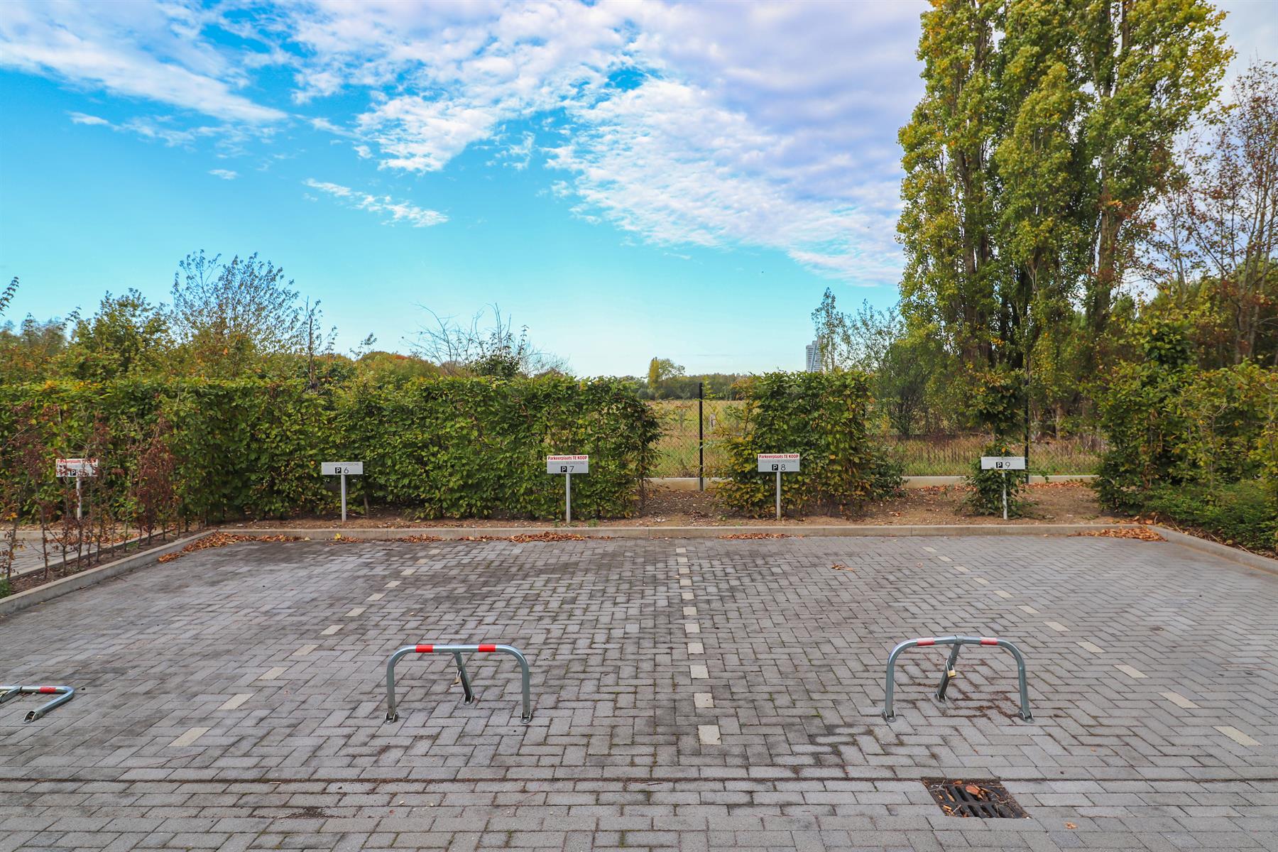 Buitenparkings te Zwijnaarde. - foto 4