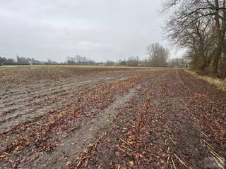 Goed gelegen landbouwgrond met opp van 12.630m² te Putte! <br /><br />Deze landbouwgrond is vrij van pacht! <br /><br />De landbouwgrond is makkelijk te bereiken en is gelegen naast een asfaltweg. <br /><br />Meer info vindt u op www.debaco.be of bel ons op 014/73.77.77