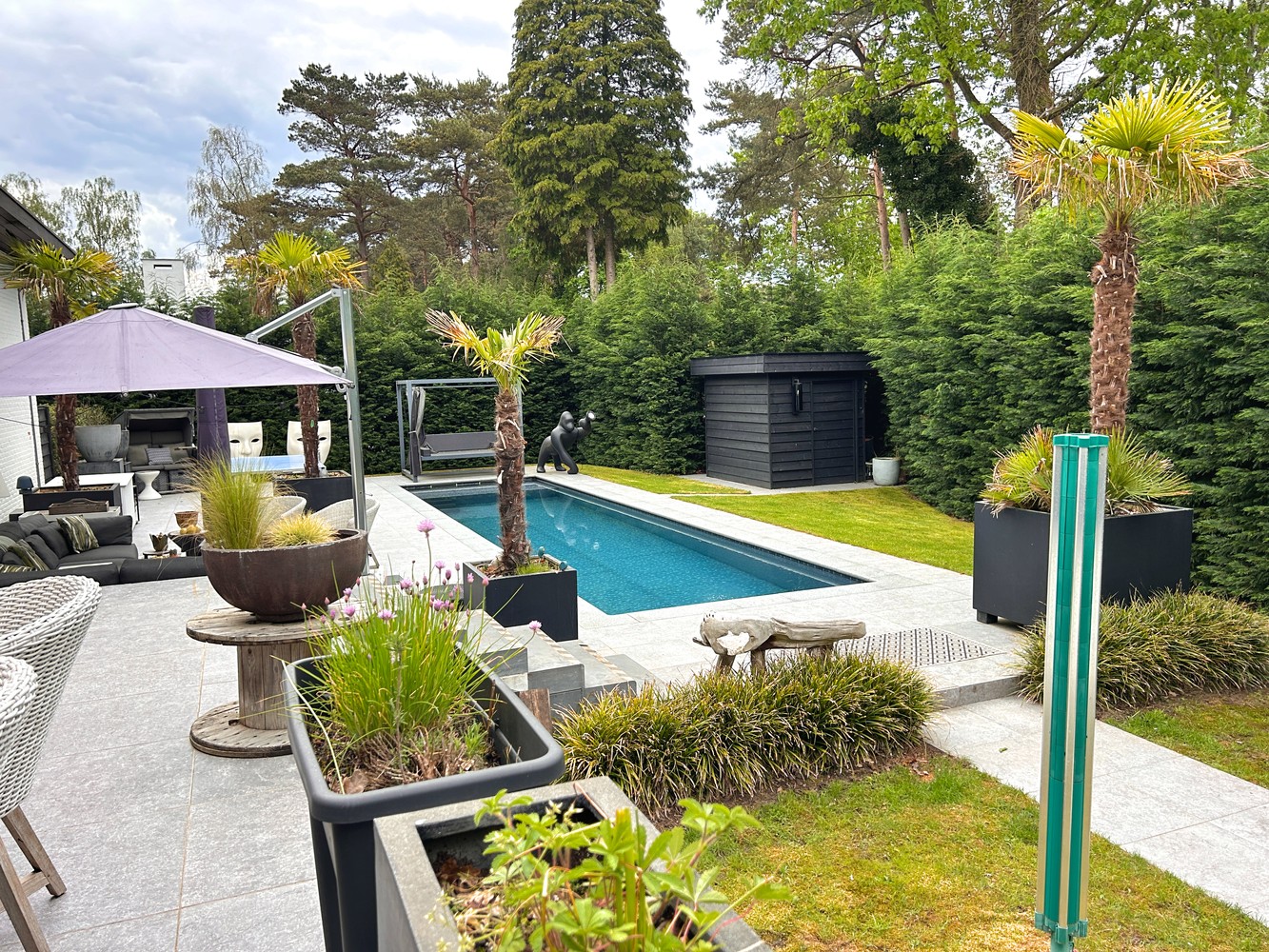 House for sale in Brasschaat with 5 bedrooms - photo 5