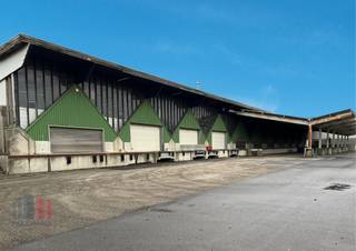 Vlot bereikbaar magazijn met een oppervlakte van 4.333 m² te huur nabij de Singel met een vlotte verbinding naar de E17 op- en afrit 15...