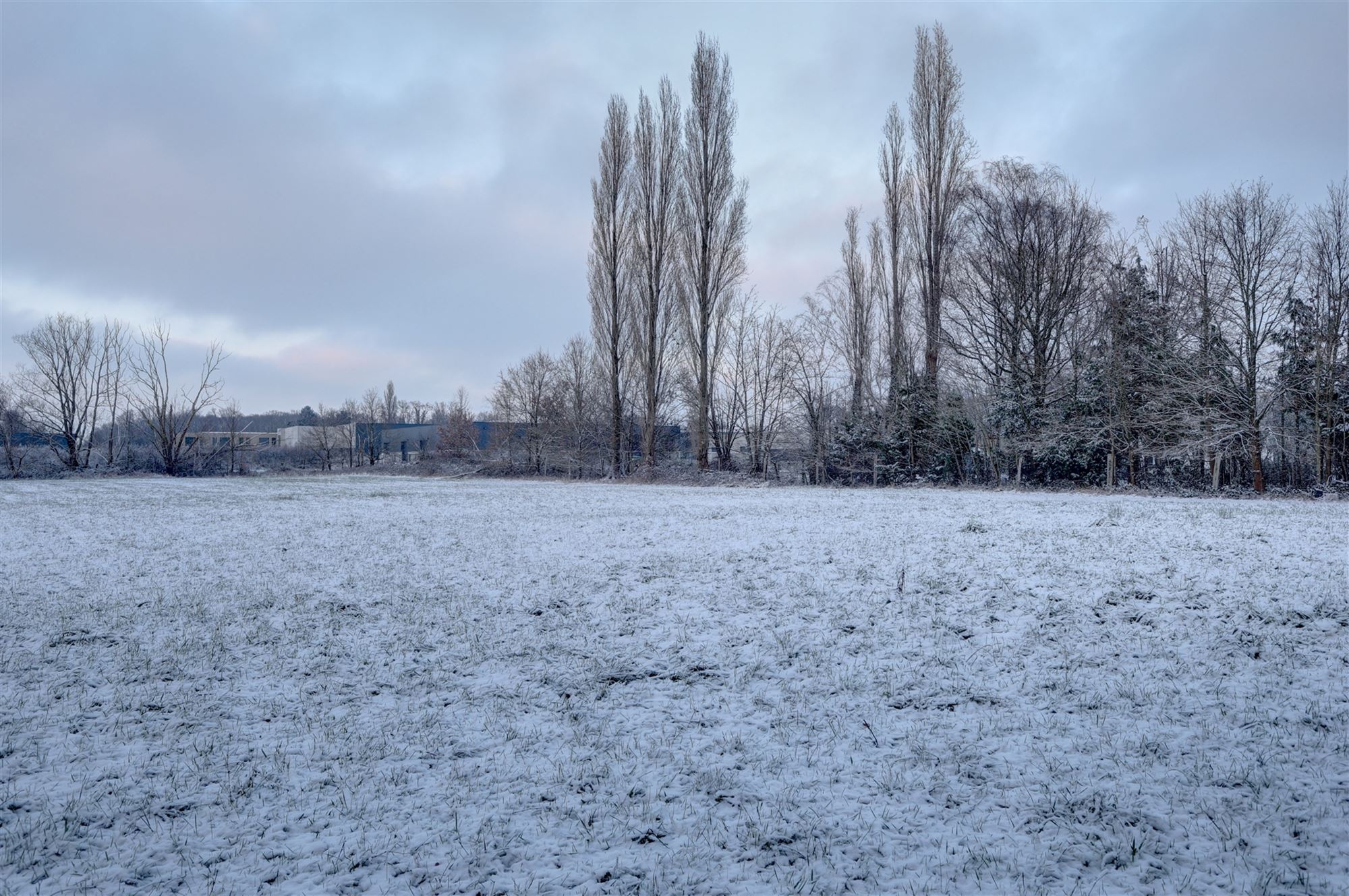 Idyllische paardenweide / bosgrond in Bonheiden - foto 3