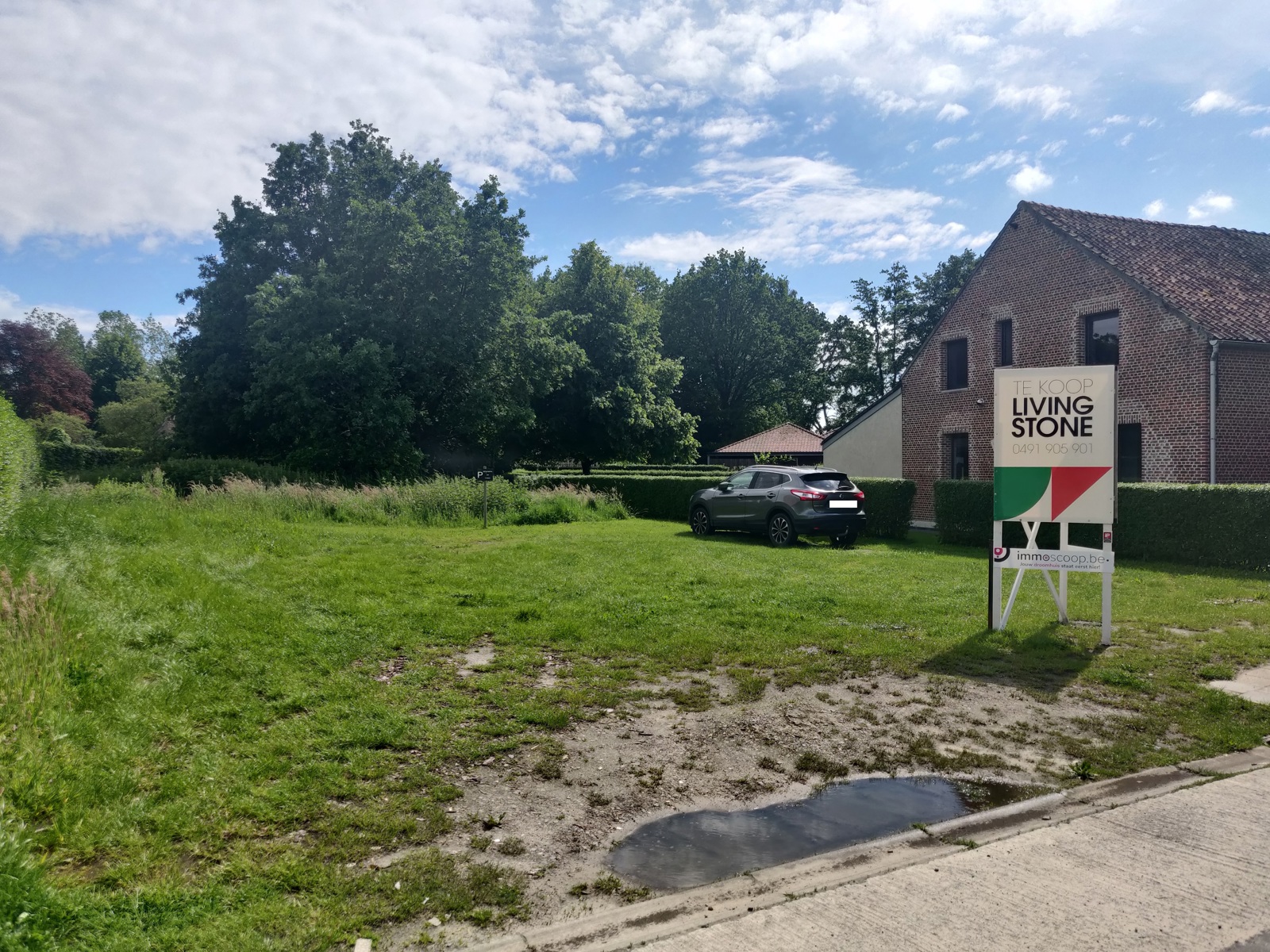 Zuid-gerichte bouwgrond op 10A23ca in Grasheide/Putte - foto 4