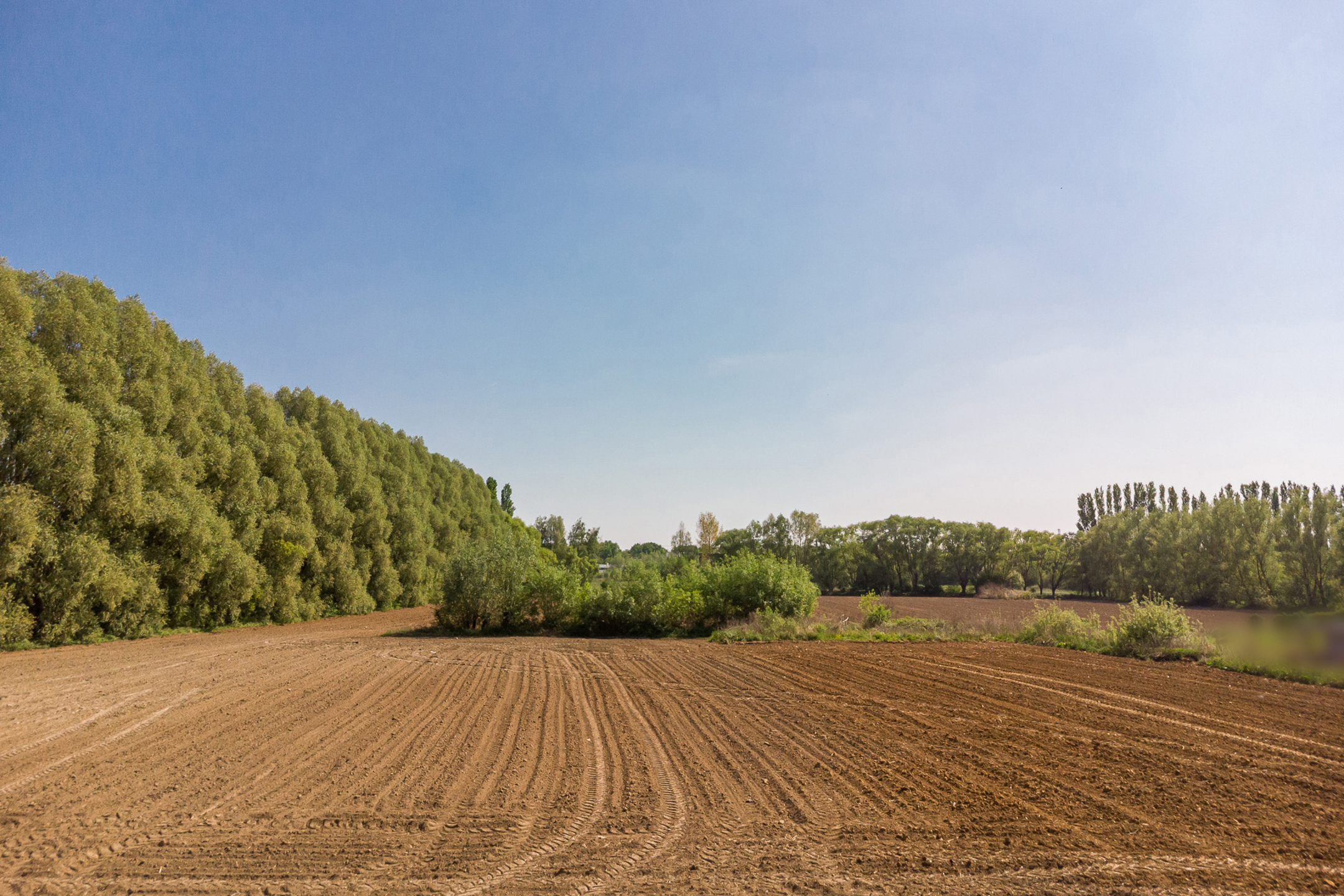 Terrain à vendre à Edegem - photo 4