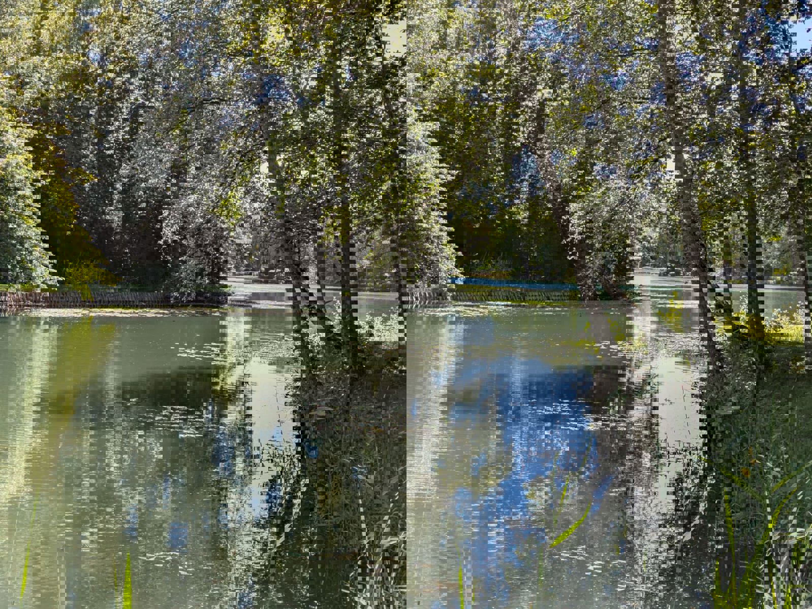 Exclusieve villagrond met zicht op het meer van Keerbergen - foto 3