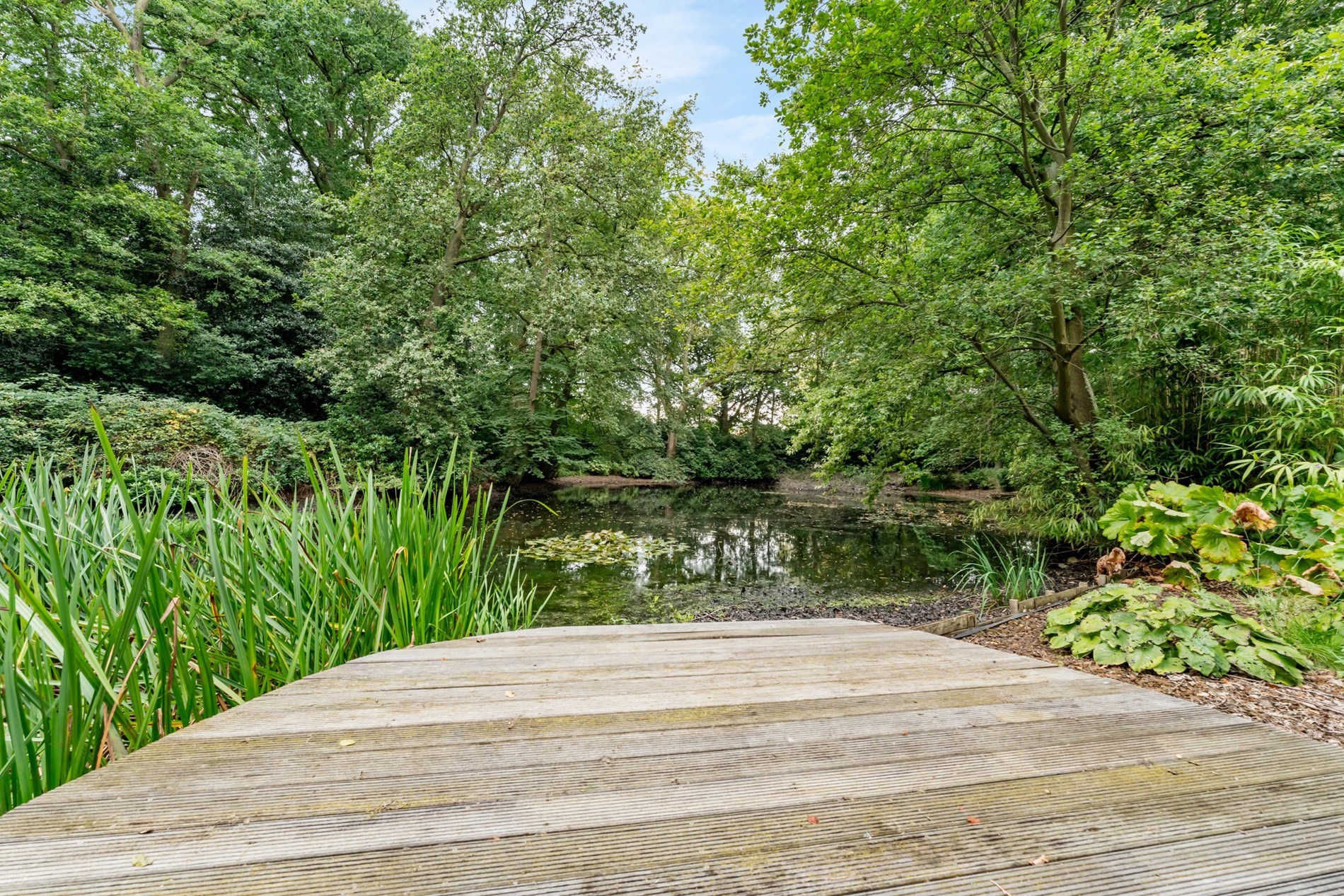 Grand appartement de château dans un domaine de parc unique ! - photo 3