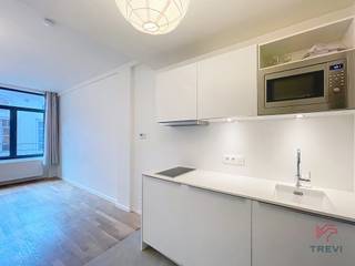 BRUSSEL – A14 - In het project "Manneken", op 20 meter van Manneken Pis, op een steenworp afstand van de Grote Markt en dicht bij het...