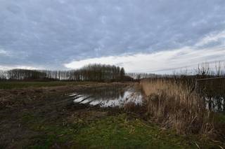Langs de Koning Albertdijk in Moerzeke wordt deze landbouwgrond van 4.858 m² in een doodlopende straat te koop aangeboden.Het perceel is...