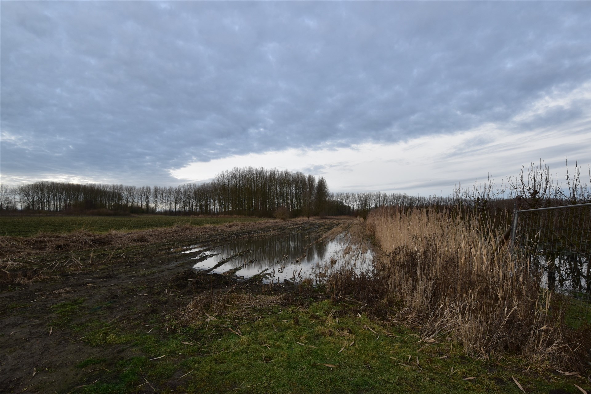 Landbouwgrond in Moerzeke - foto 2