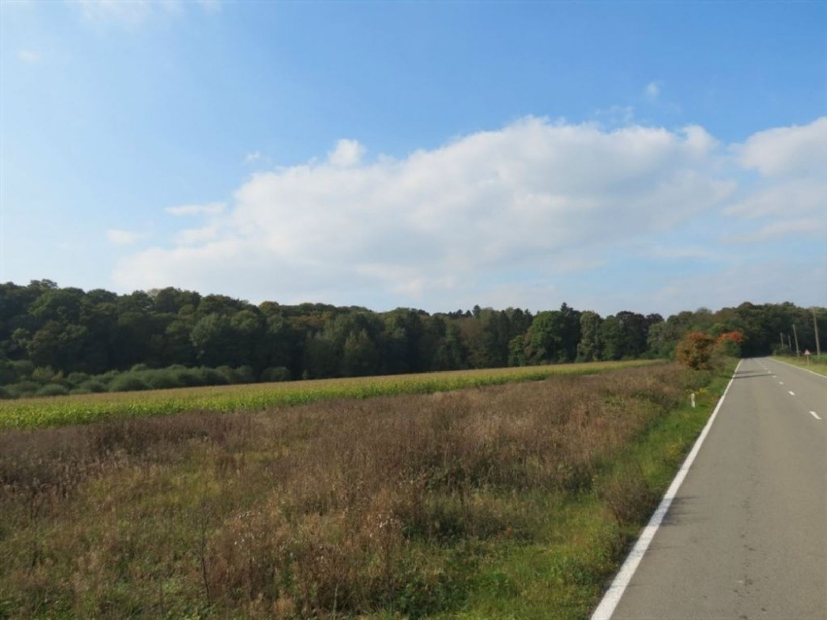 Land for sale in Hotton - photo 4