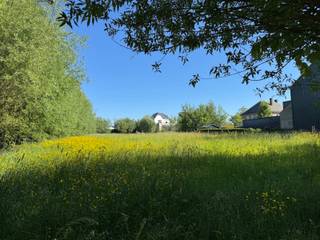 Deze knappe bouwgrond met een oppervlakte van 541 m2( LOT 3) is gelegen aan de Beekstraat tussen nr 37 en 41 en is geschikt voor het oprichten van...