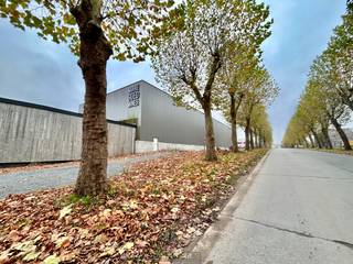 Te huur ruim, industrieel magazijn met laadkades gelegen in industriezone RonseDit EXCLUSIEVE MAGAZIJN biedt UITSTEKENDE OPSLAGMOGELIJKHEDEN en is...