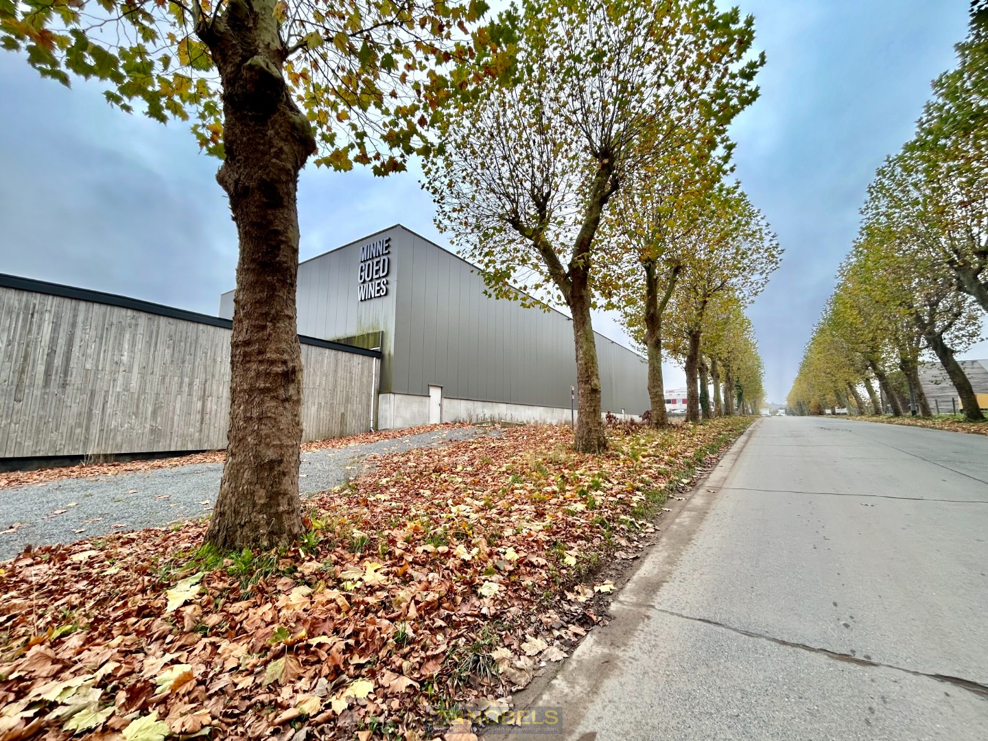 Te huur ruim, industrieel magazijn met laadkades gelegen in industriezone Ronse - foto 1