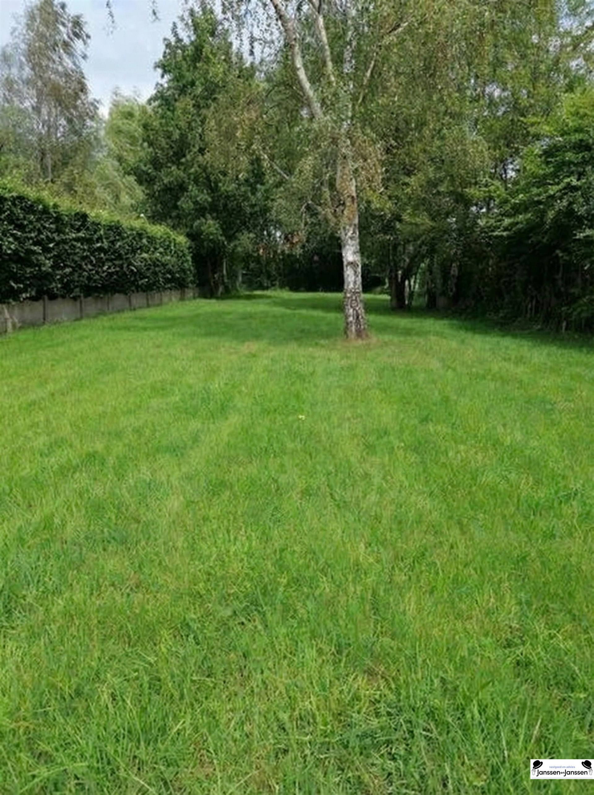 building ground - photo 3