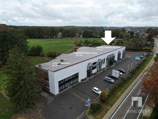 Ontdek een indrukwekkend handelsgebouw langs de verbindingsweg Diest - Tessenderlo, met een royale bruikbare oppervlakte van 1.181m². Dit...