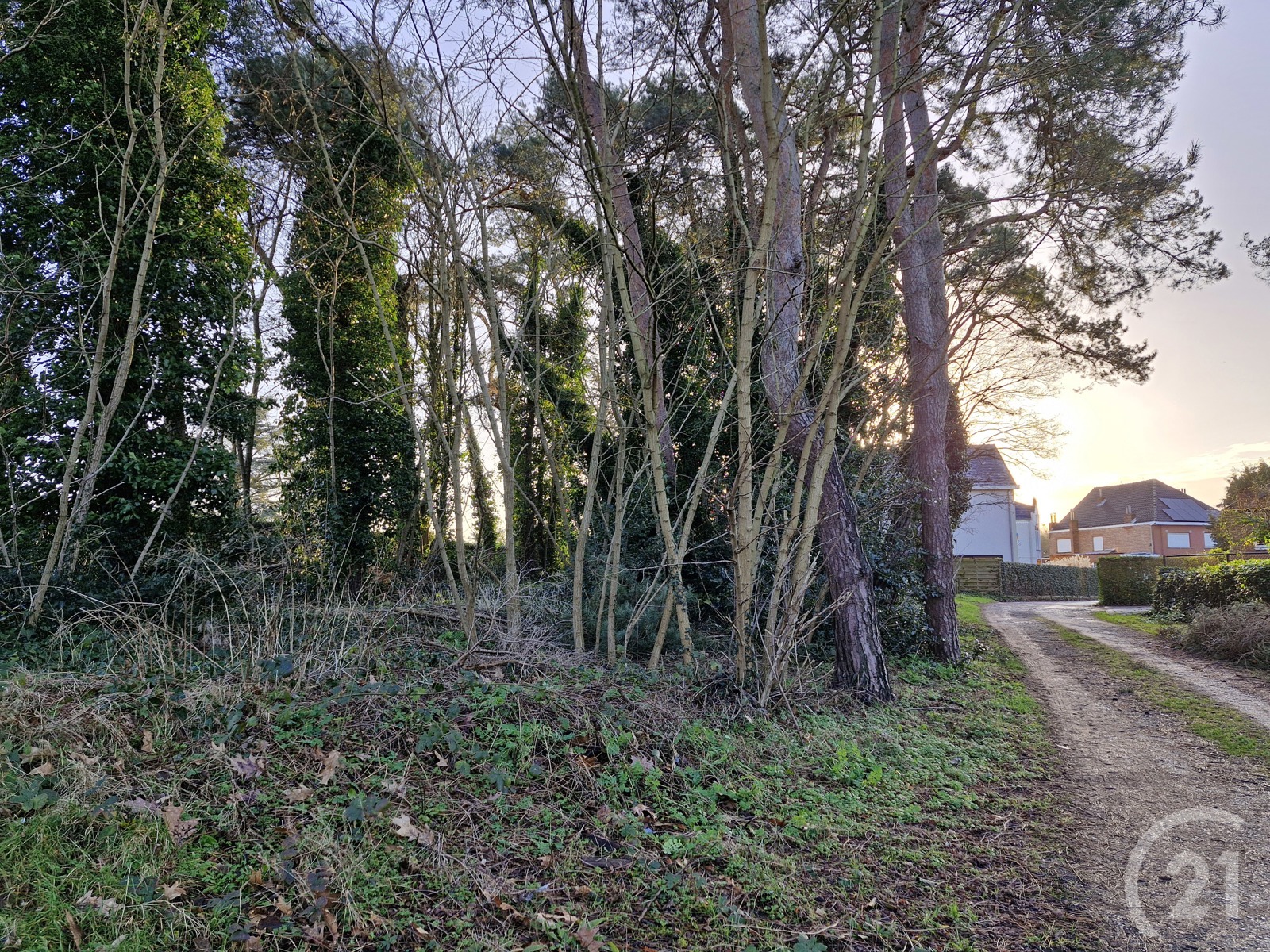 Bouwgrond te koop in Tremelo! - foto 4