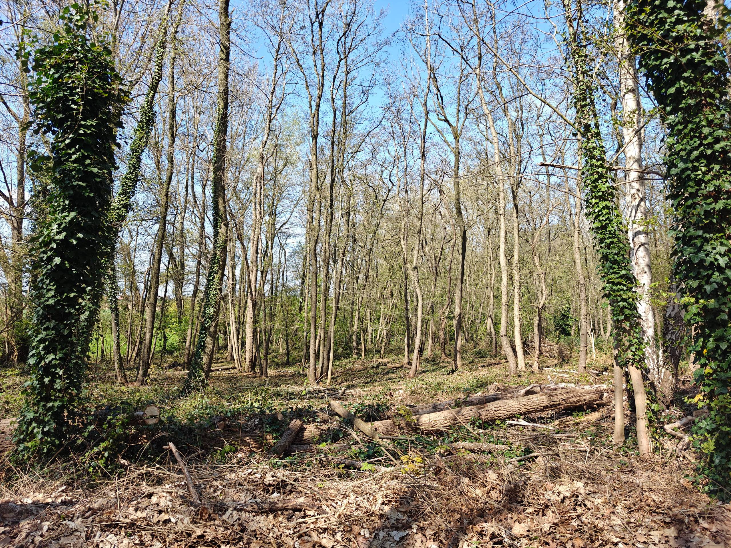Terrain à vendre à Zonnebeke - photo 5