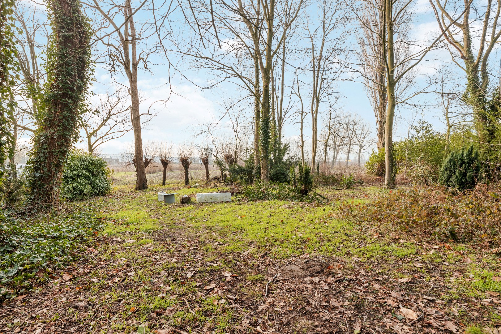Maison à vendre à Temse avec 5 chambres - photo 4