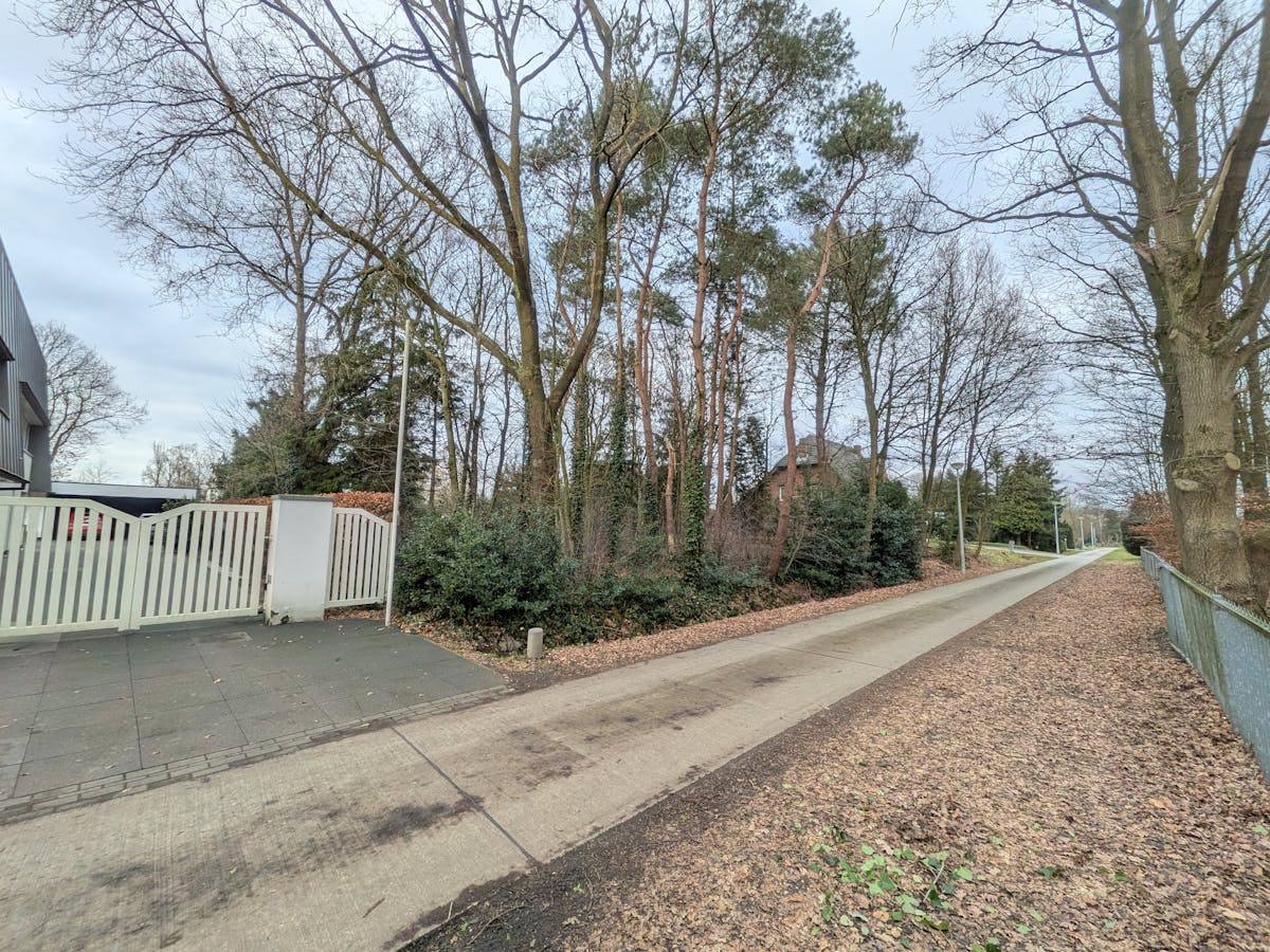 Villagrond van 14 are, 35m breed, te koop in Ravels/Poppel - foto 5