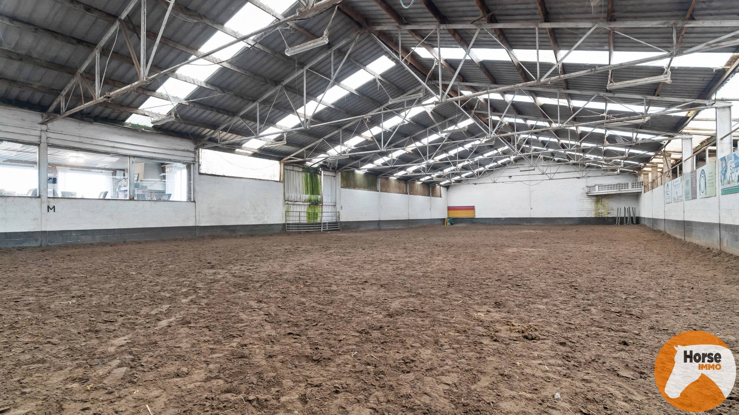 HASSELT (Kortessem) - Manege met veel potentieel! - foto 5