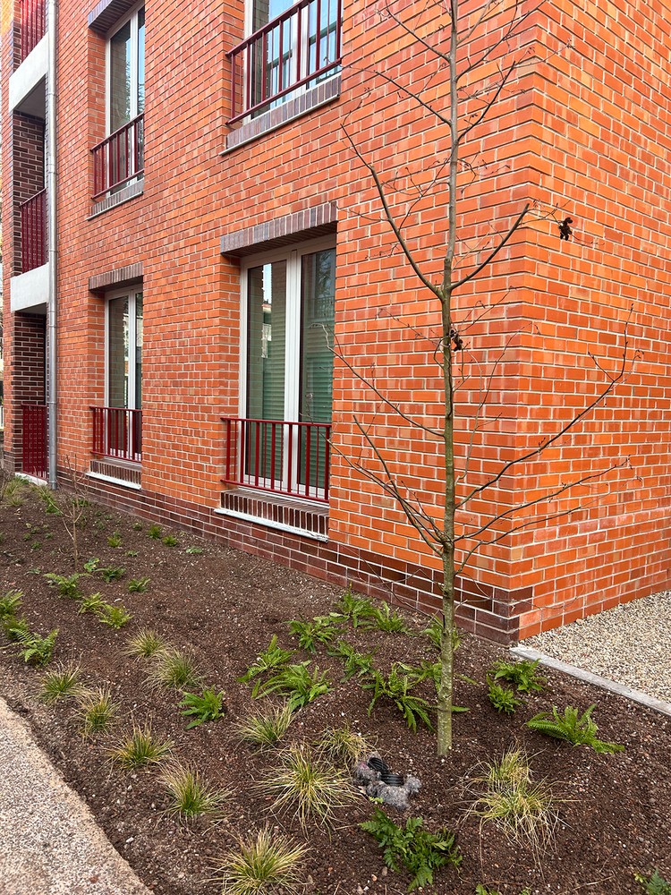 Projet à vendre à Lier - photo 4