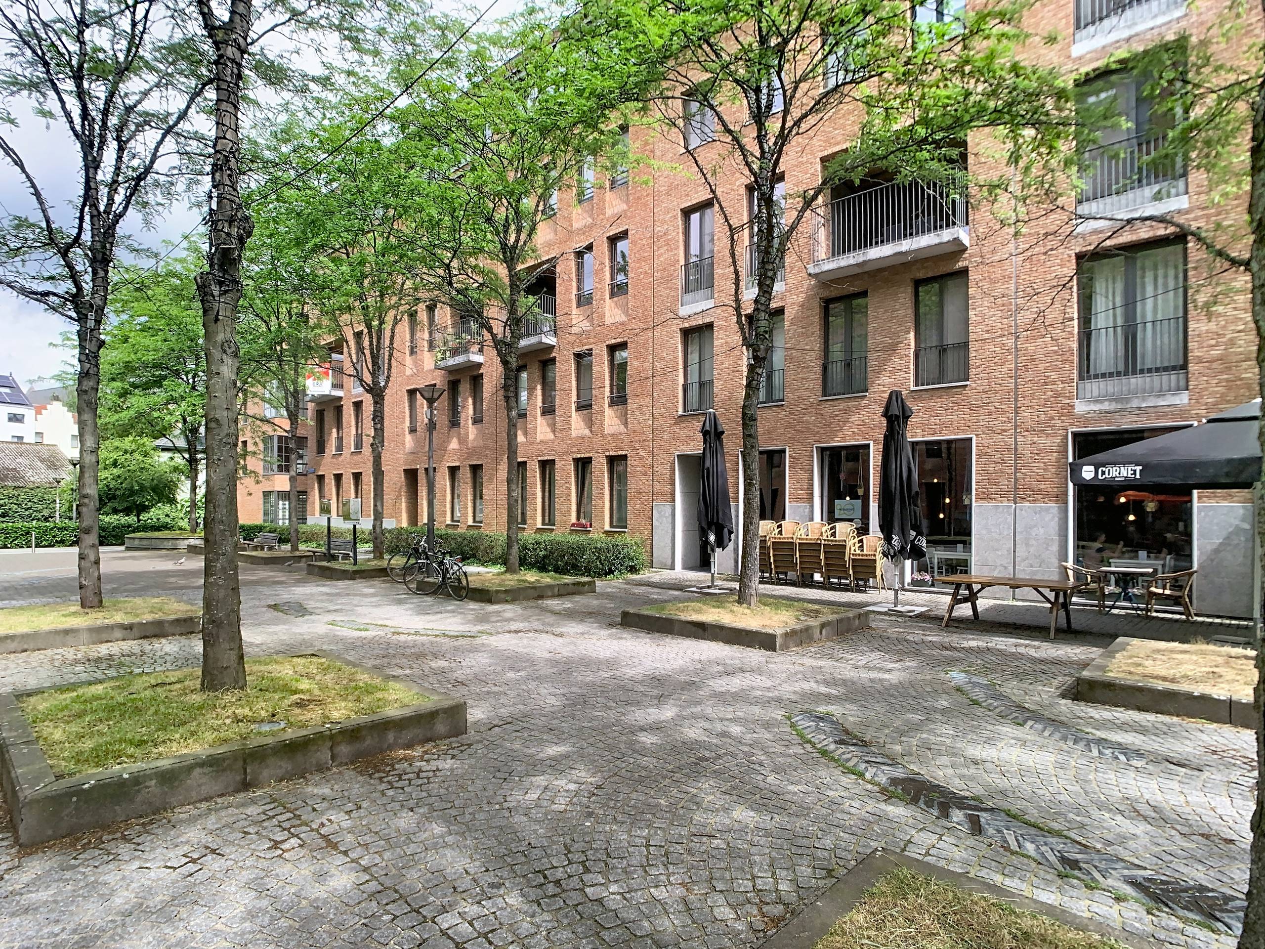 Appartement une chambre avec terrasse à louer à Louvain - photo 1