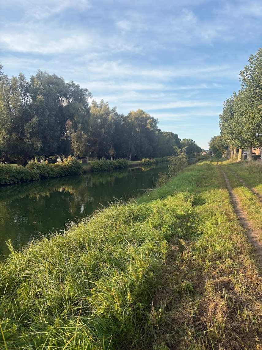 Grond te koop in Schoten - foto 5