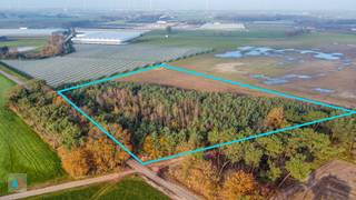 Land for sale in Hoogstraten
