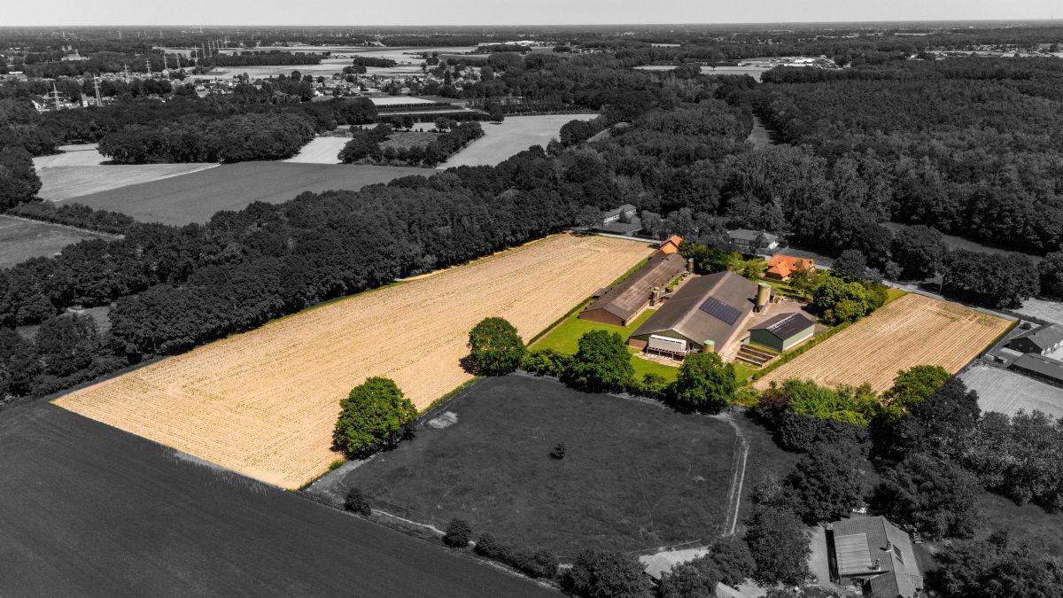 Varkensbedrijf te koop te Oudsbergen (Gruitrode) - foto 4
