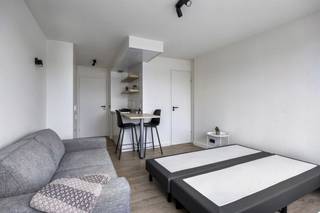 **Studio rustig genot Vesaliussite**Wij bieden u een prachtig gerenoveerde studio gelegen in de Vesaliussite, nabij tal van campussen, bibliotheken,...