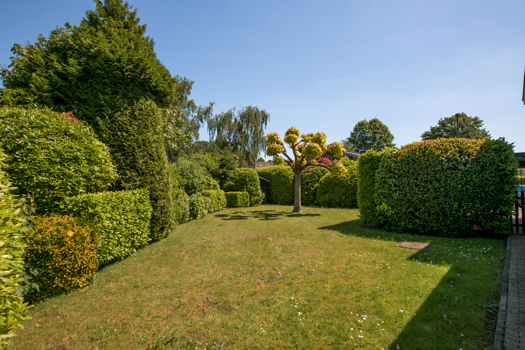 Ruime gezinswoning met veel potentieel op toplocatie te Ekeren! - foto 5