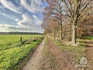Terrain à vendre à Bocholt