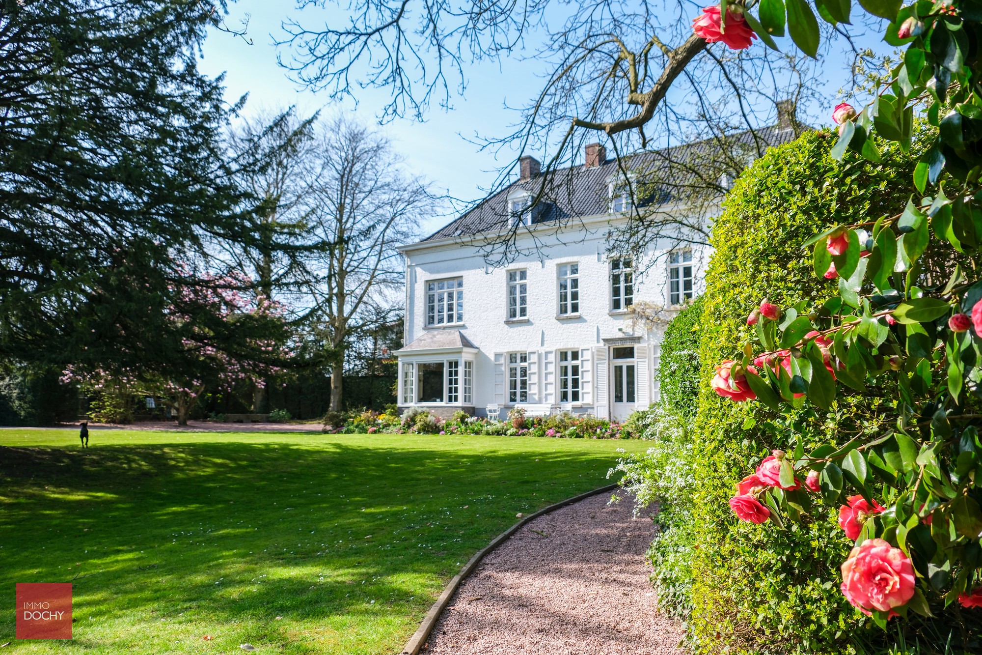 Karaktervolle herenvilla op ca 7.800m² palend aan oude Scheldearm - foto 4