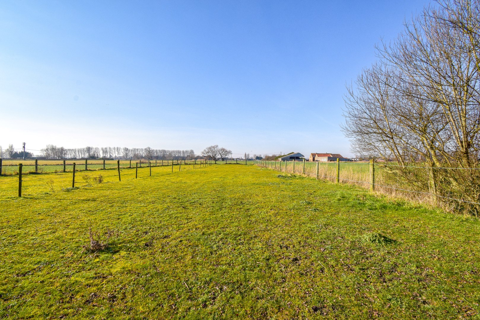 Mooi perceel weiland (2920 m²) met bijhorende paardenstalling op landelijke ligging te Westende - foto 3