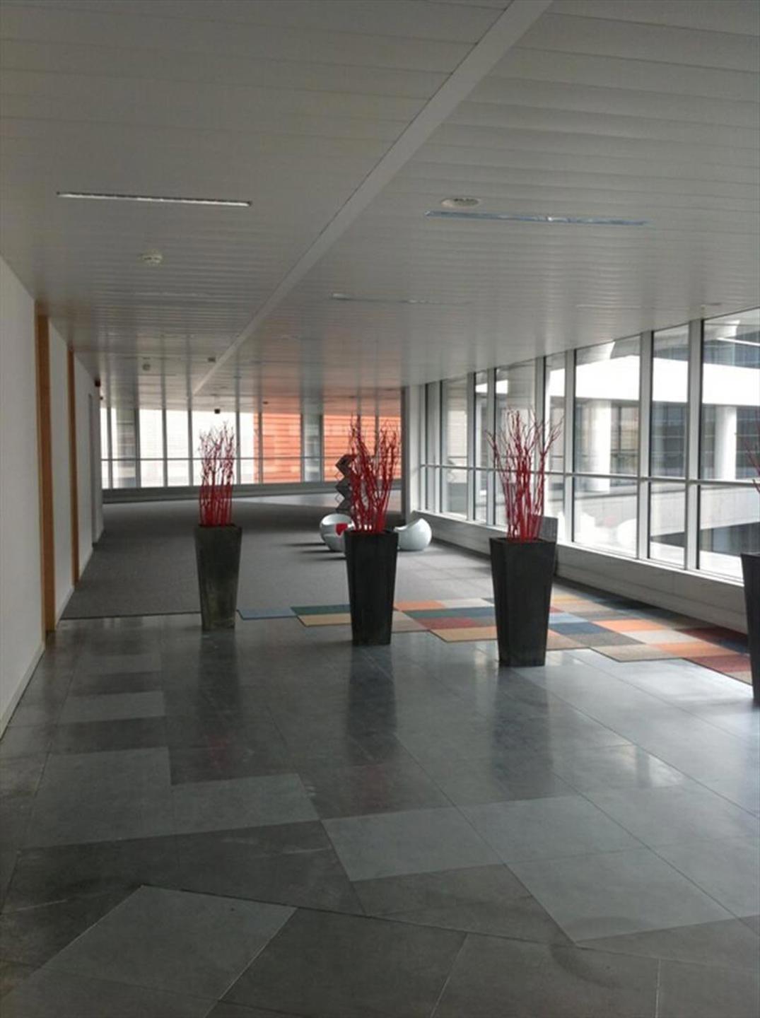 Commercial for rent in Auderghem - photo 3