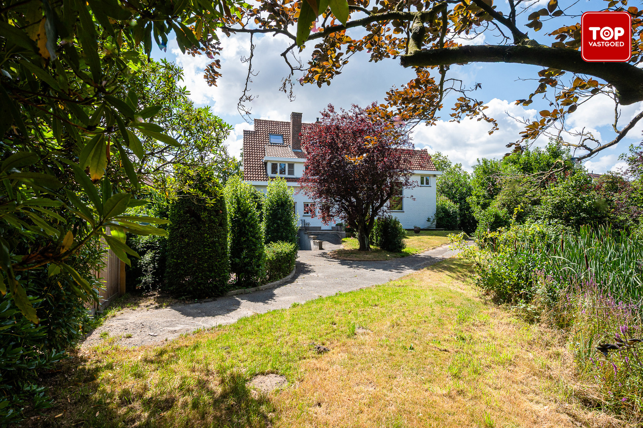 Vernieuwde woning met 4 slaapkamers en gunstige EPC score - foto 2