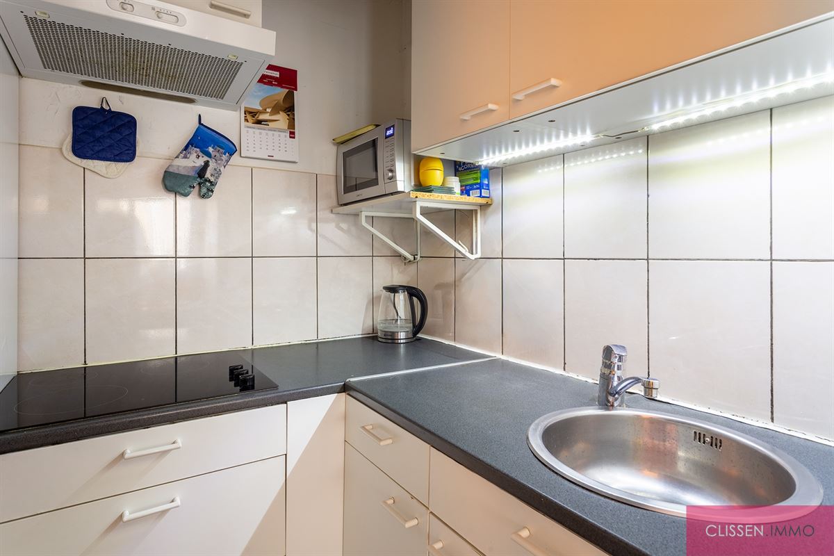 Instapklaar 1-slaapkamerappartement met terras vlak bij het Stadspark - foto 5