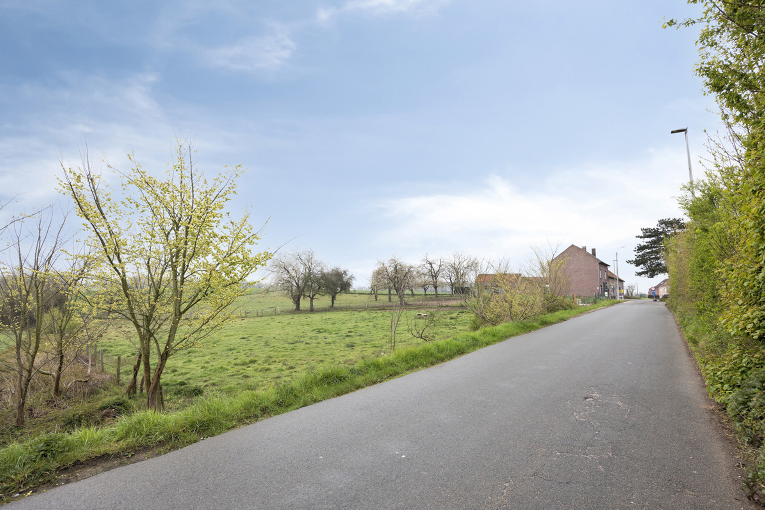 Instapklare droomvierkantshoeve met boomgaard, weilanden  - foto 3