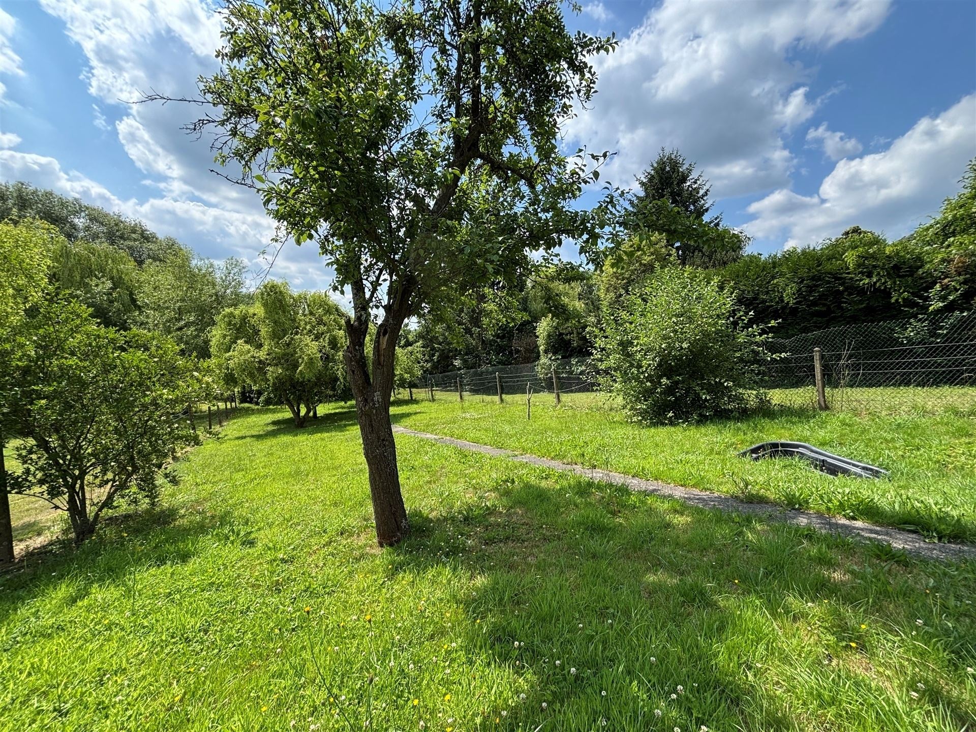 SOUS OPTION Maison 3 chambres avec jardin - photo 5