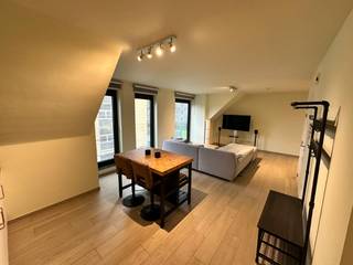 Nieuwbouw studio bestaat uit een grote ruimte voorzien van open keuken en living. Ruime slaaphoek met aparte badkamer en toilet en inloopdouche. Heel veel lichtinval. Geen gemeenschappelijke kosten. Fietsenberging voorzien en achteraan is er parkeerplaats. Zonnepanelen aanwezig. Bezoekmoment dinsdag 16 december tussen 17.00 uur en 18.00 uur.