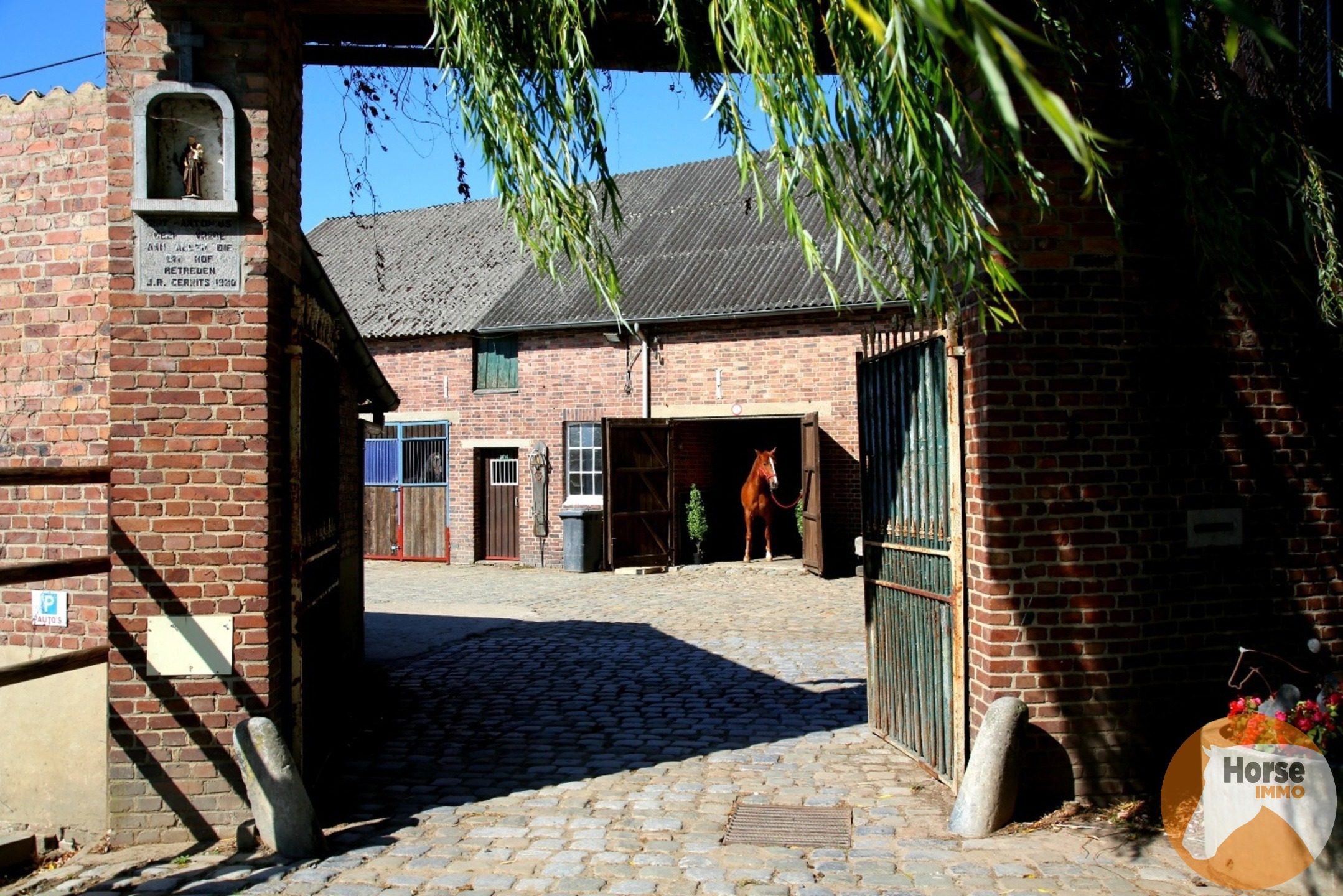 HASSELT (Kortessem) - Manege met veel potentieel! - foto 3